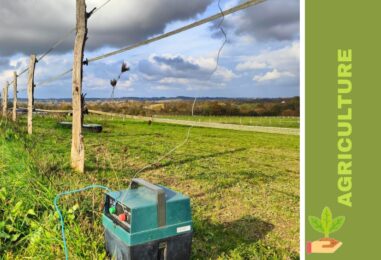 Électrificateur Autonome et IoT : La nouvelle génération de clôtures électrique pour protéger ses animaux et ses cultures.